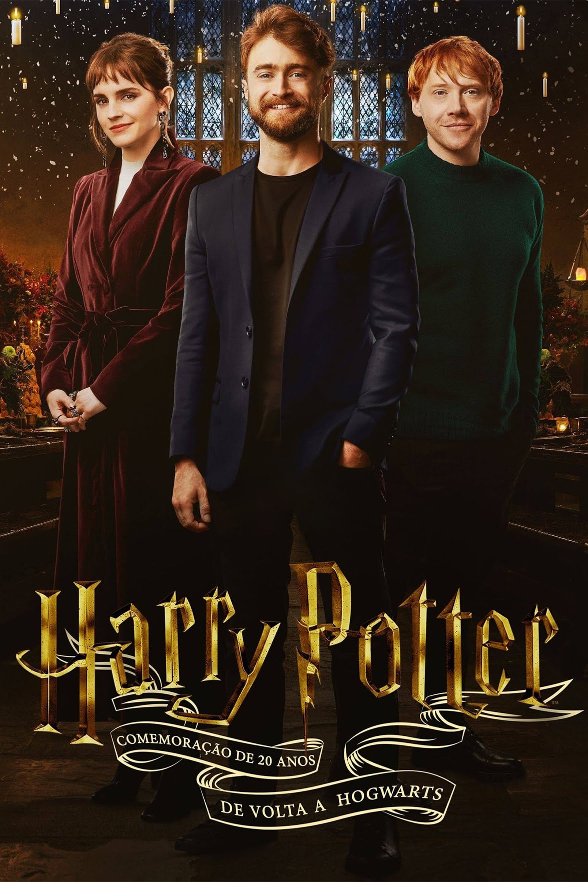 Harry Potter 20 Anos 